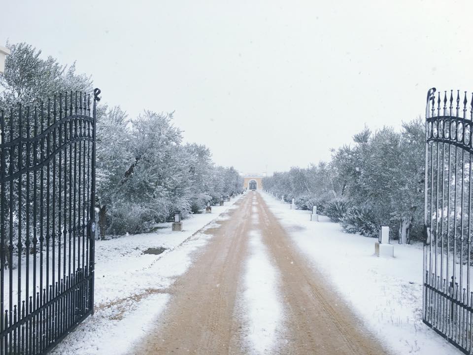 Tenuta Orsanese Marina di Ginosa Esterno foto